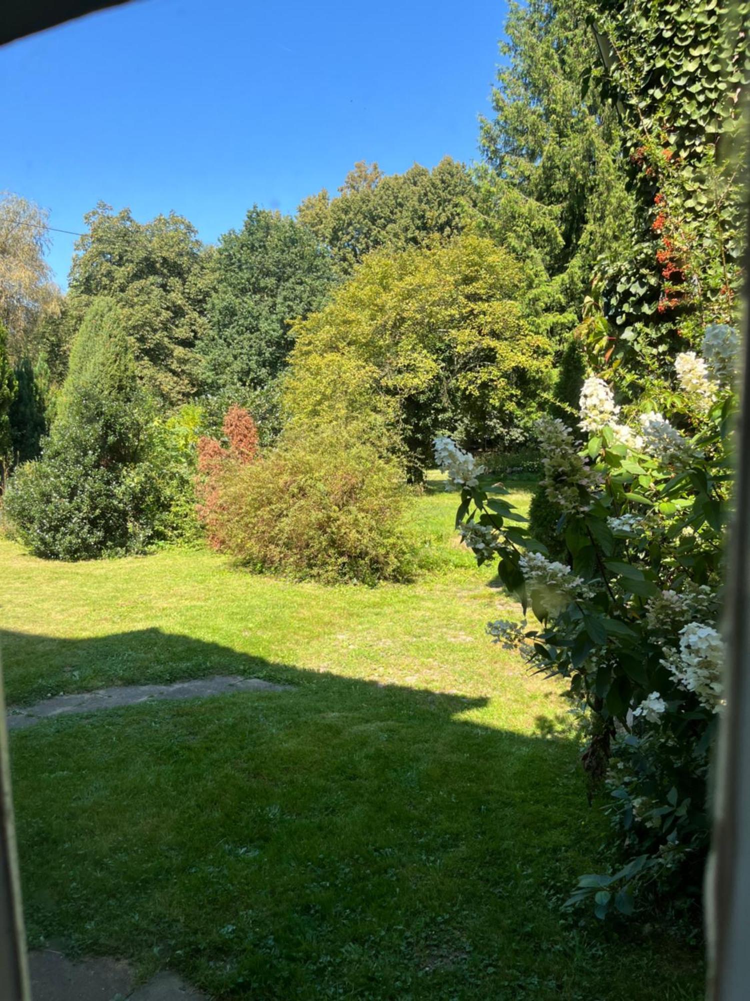„Altes Forsthaus“ Am Schloss Uelzen Eksteriør billede